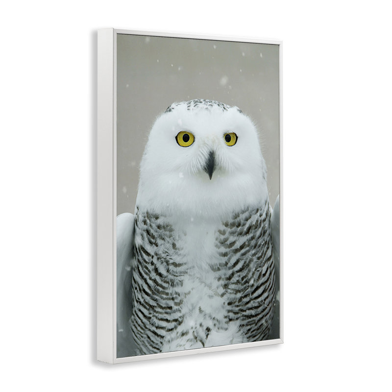 «Snowy Owl», estampe numérique par Carrie Ann Grippo-Pike, Giclée encadrée blanc bord de mer, H 18 po x l 12 po