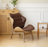 Jeyshan Upholstered Lounge Chair and Ottoman-1975194186
