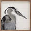 «Great Blue Heron» par Robin Sue Studio-564229637