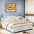 Gerjet Elegant Extendable Daybed with Two Storage Drawers and Twin Size Trundle-1253499619