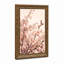 Art mural sur toile Branches et fleurs de cerisier rose pâle-132748361