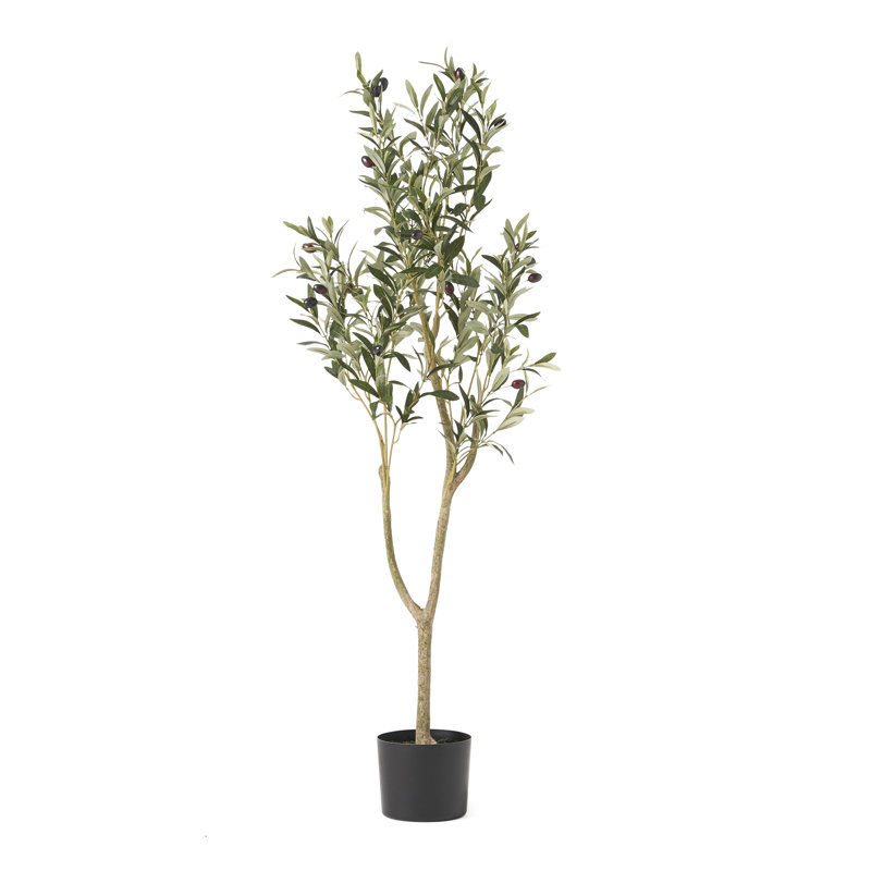 Aarav Faux Olive Tree Tree in Pot, 47" H  x 19" W x 15" D