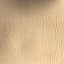 Sea Sand