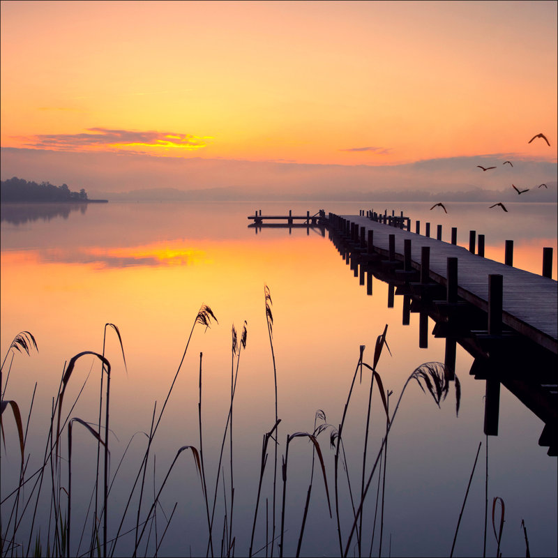 Evening Atmosphere - Graphic Art Print on Glass, 80 cm H x 80 cm W x 1.5 cm D
