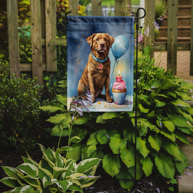 Drapeau de jardin «Happy Birthday», Retriever de la Baie de Chesapeake