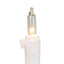 50-Count Mini Christmas Light Set 10ft Wire-2001956632