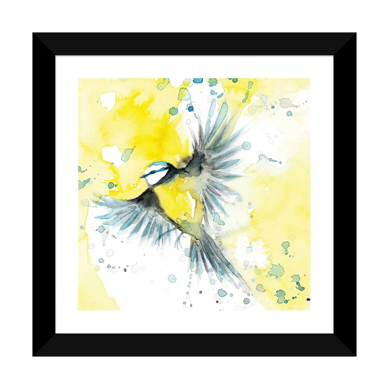 Mésange bleue - reproduction d'art, H 24 po x l 24 po x p 1 po, Papier encadré noir, Blanc
