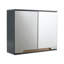 Florence Wall Mounted Required Bathroom Cabinet-1537930257