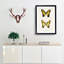 Eastern Tiger Swallowtail Butterfly by S.F. Denton - Picture Frame Graphic Art Print-55537118-55537117