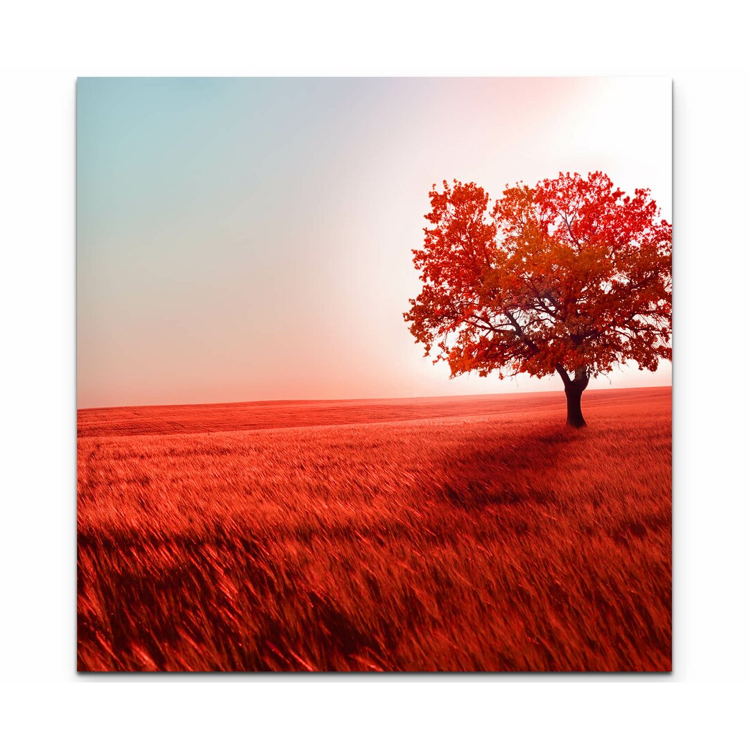 Leinwandbild Abstraktes rotes Feld mit Baum