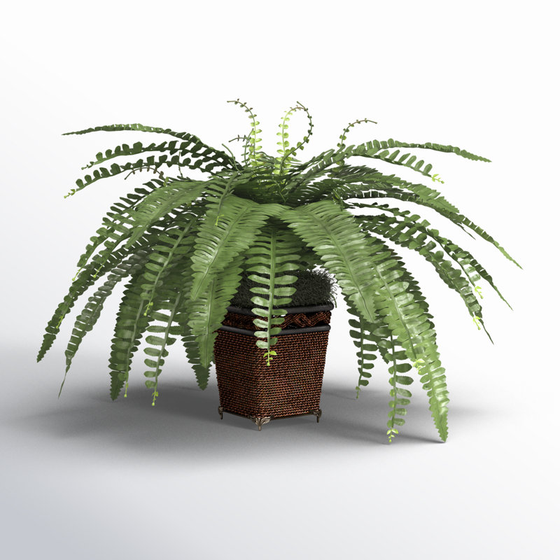 23'' Faux Fern Plant in Wicker/Rattan Pot