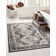 Shanil Oriental Indoor Rug