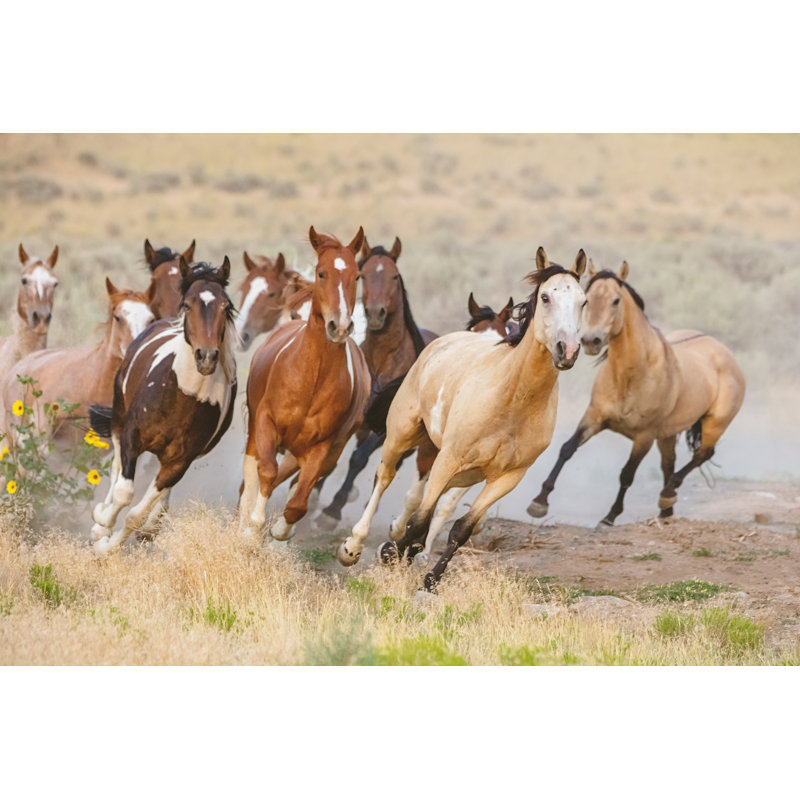 Wild Horses Running by Mlenny - Wrapped Canvas Print, 20cm H x 30cm W x 3.8cm D