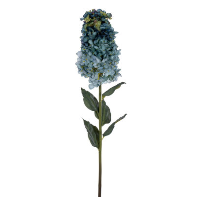 Hydrangea Stem