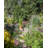 44'' W x 19'' D Metal Arbour in Black