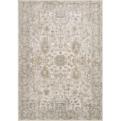 Sagefield Oriental Indoor Rug