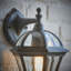 Beijing 41cm H Outdoor Wall Lantern