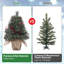 Lighted Artificial Pine Christmas Tree