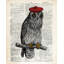Hipster Owl Print by Michelle Bennett-25708598
