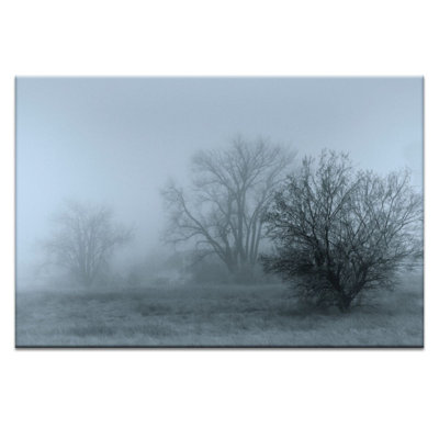Print on Canvas
