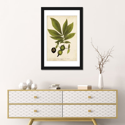 « hickory tree feuillage », reproduction d’impression sur toile