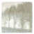 Plexi