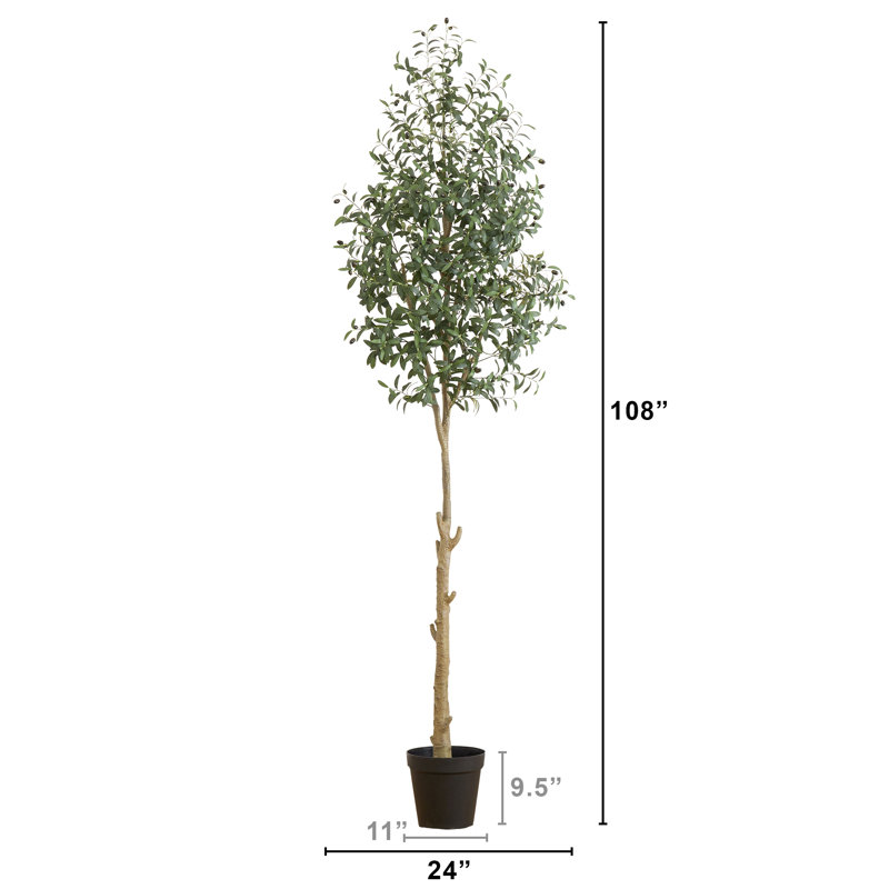 108 po plante