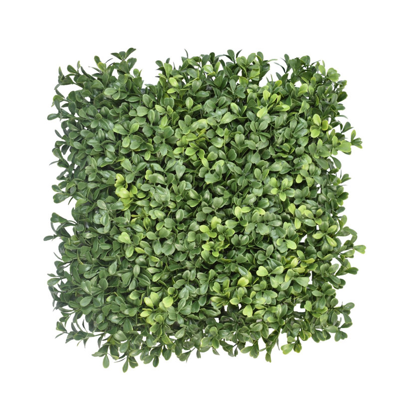 Set Of 24 Boxwood Mats, 12