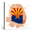 Arizona State Flag Map - Art mural sur toile carrée-130101459