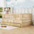 Jaiquan Daybed with Two Storage Drawers-1620855039-1620855038