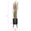 77 po Faux Pampas en pot