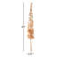 Arrangement Eremurus-1819476919