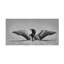 «Common Loon in Black and White» par Jim Cumming, reproduction de photo sur toile tendue-758879856