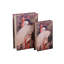Adrianna Book Box
