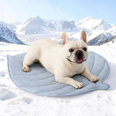 Pet Bed