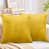 Ochre selected