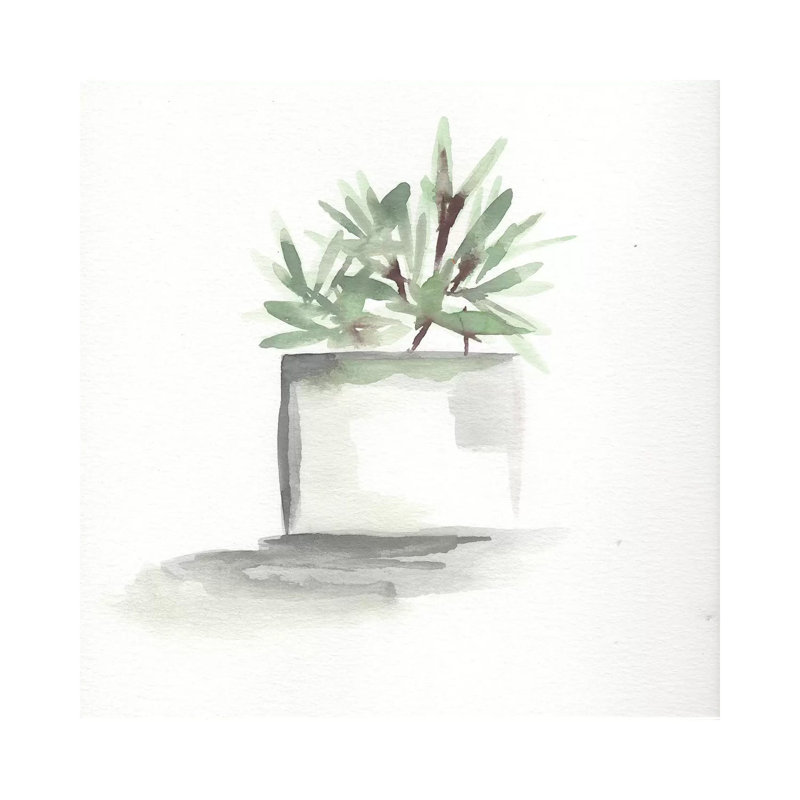 Watercolour Cactus Still Life IV by Marcy Chapman - Wrapped Canvas Painting, 93.98 cm H x 93.98 cm W x 1.91 cm D