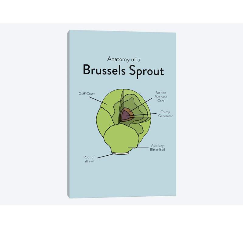 «Brussels» par Stephen Wildish, impression sur toile tendue, H 24 po x l 16 po x P 1 po, Papier d'art encadré noir, Blanc