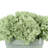 Hydrangea Arrangement in Vase-1833871477
