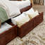 Antavious Coastal Cottage Solid Wood Twin Daybed with Storage Drawers-1396648966