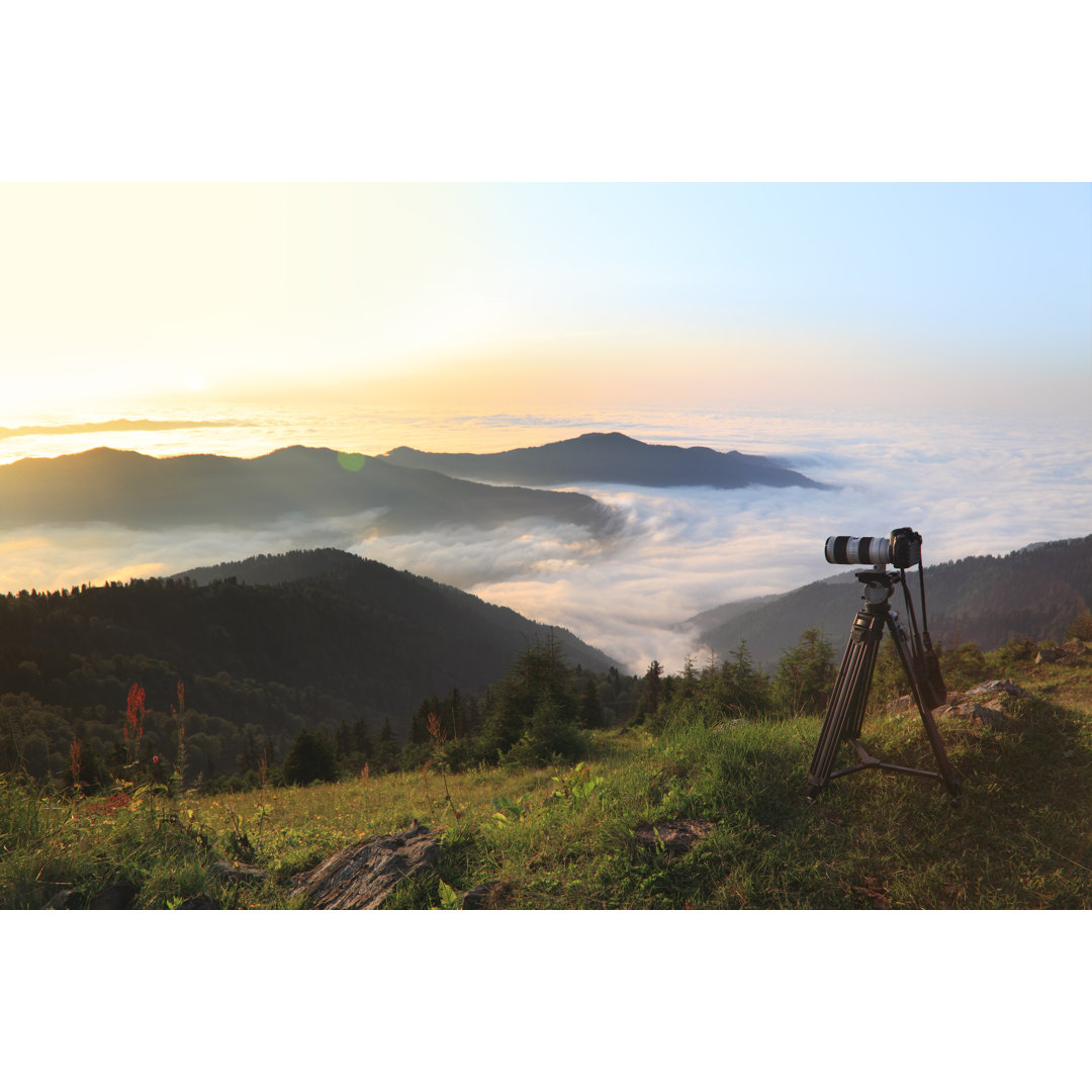 Taking Nature Photos von Petekarici - Kunstdrucke auf Leinwand