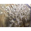 Peinture sur toile tendue