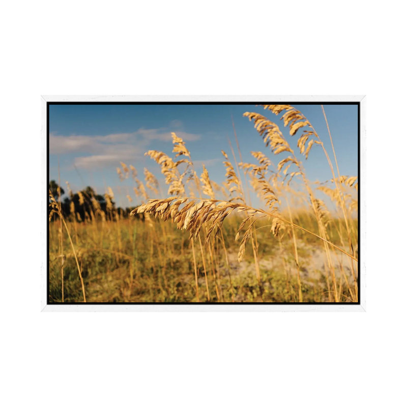 Hilton Head Island by Bethany Young - Print on Canvas, White Framed, 45.72cm H x 66.04cm W x 3.81cm D