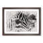 Zebra Vol.1 Watercolour - Picture Frame Graphic Art-62775999-62775996