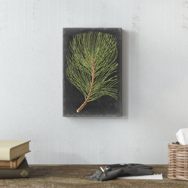 «Dramatic Pine III» par Vision Studio, reproduction d'art sur toile tendue, H 12 po x l 8 po, Non, Toile tendue