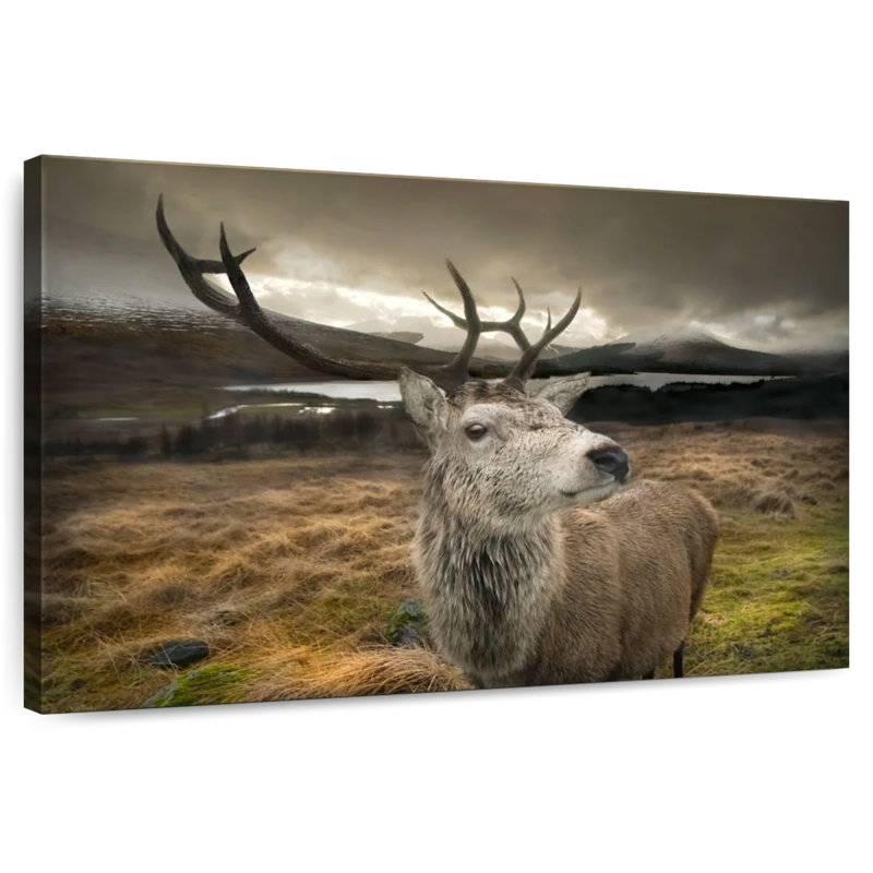 Cerf photogénique, H 26 po x l 39 po