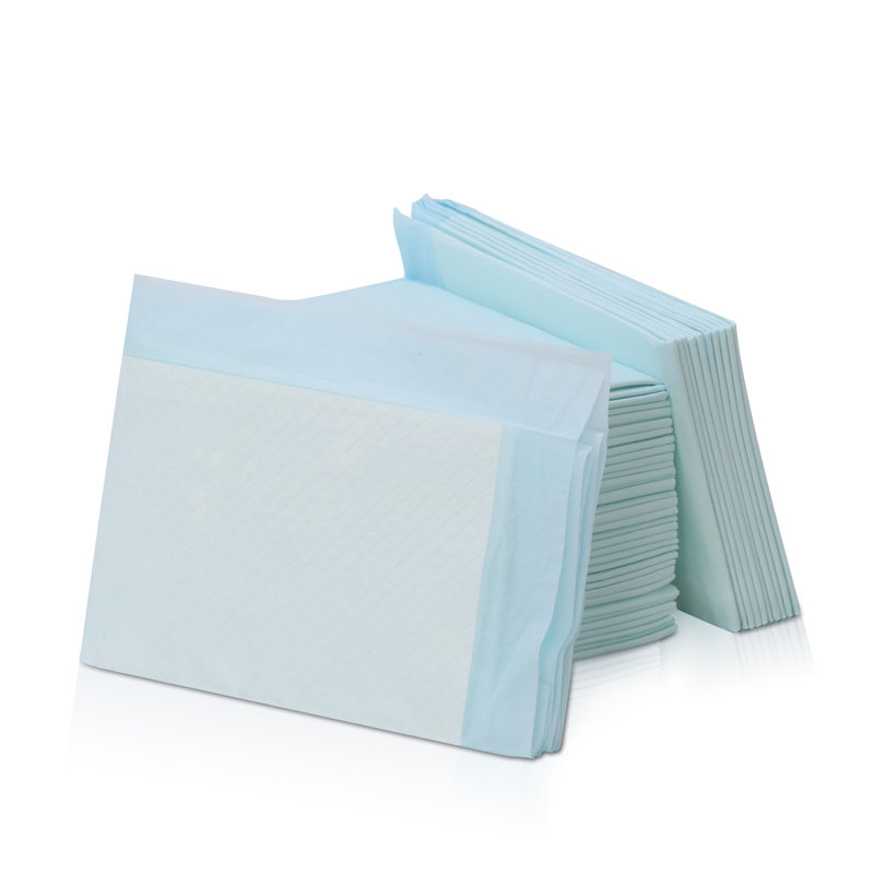Tapis / tapis d'entraînement pour animaux Brantner, Moyen (l 22 po x P 22 po x H 0,1 po)