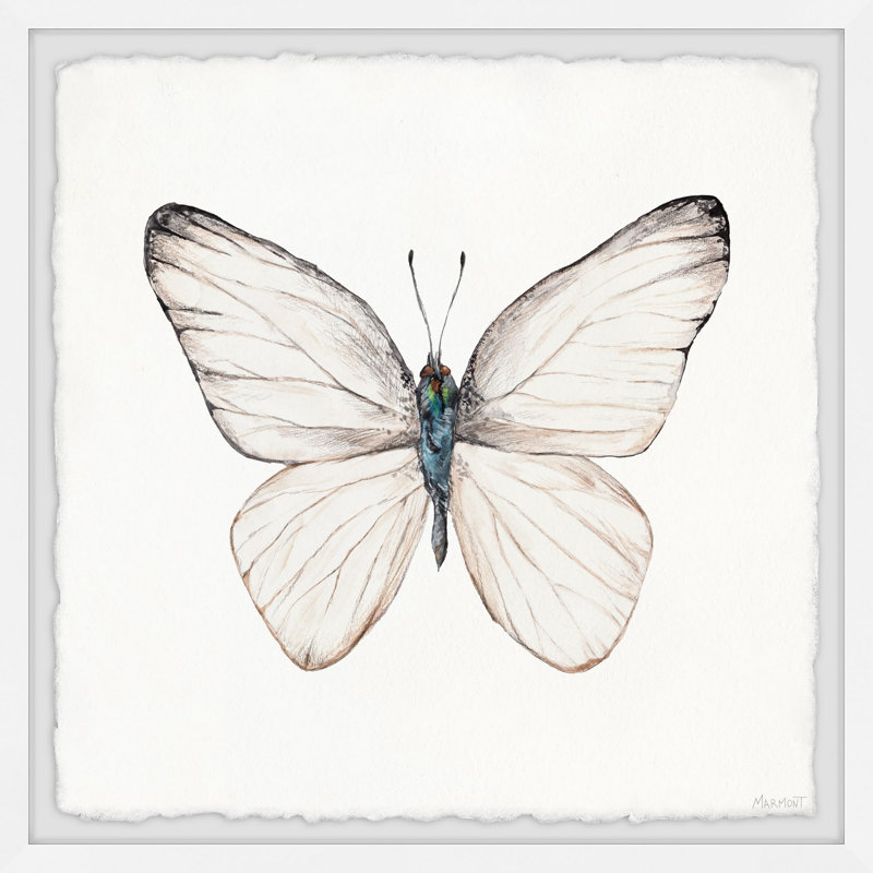 Soft Wings - Single Picture Frame Painting, 45cm H x 45cm W x 3.81cm D