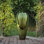 Fontaine d'extérieur en pot en fibre de verre H 33 po Gallien