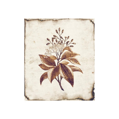«Botanique I» par Zoey Riley - impression